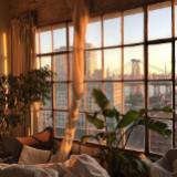 (Category: ) located in . Submitted by gizzzelly (Listing ID 1381023729, Image 1). Description: .