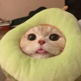 (Category: ) located in . Submitted by henghengggg (Listing ID 1234776235, Image 1). Description: .