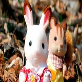 (Category: ) located in . Submitted by reloved_treasures (Listing ID 1330234407, Image 1). Description: .