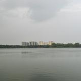 (Category: ) located in . Submitted by dijongt (Listing ID 1375599276, Image 1). Description: .
