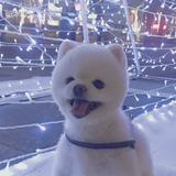 由 eggy0711 (刊登 ID 1384576950，圖片 1) 提交，位於 的 (類別：)，說明：。