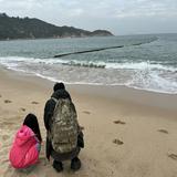 （分類：）位於 。 由 cumonster 提交（商品編號 1378349623，圖片 1）。簡介： 。