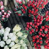 (Category: ) located in . Submitted by mariasyafiqah (Listing ID 1308610945, Image 1). Description: .