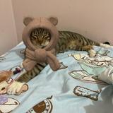 （分類：）位於 。 由 melo__lo 提交（商品編號 1353561193，圖片 1）。簡介： 。