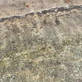(Category: ) located in . Submitted by bibibabibudgma (Listing ID 1385496374, Image 1). Description: .