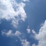 (Category: ) located in . Submitted by drlnmrdn (Listing ID 1371054126, Image 1). Description: .