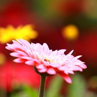 （分類：）位於 。 由 wills.lam 提交（商品編號 1323420111，圖片 1）。簡介： 。