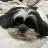 (Category: ) located in . Submitted by artish2121 (Listing ID 1312212696, Image 1). Description: .