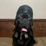 (Category: ) located in . Submitted by cnc23 (Listing ID 1457092584, Image 1). Description: .