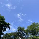 (Category: ) located in . Submitted by jinhui.sg (Listing ID 1261460170, Image 1). Description: .