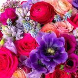 (Category: ) located in . Submitted by flowersandroses18 (Listing ID 1226310057, Image 1). Description: .