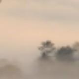 (Category: ) located in . Submitted by user567821 (Listing ID 1443673495, Image 1). Description: .