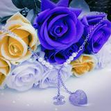 由 holypresent (刊登 ID 1380971843，圖片 1) 提交，位於 的 (類別：)，說明：。