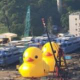 （分類：）位於 。 由 gornergrat_j 提交（商品編號 1364816101，圖片 1）。簡介： 。