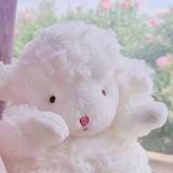 （分類：）位於 。 由 eunjoo.ki 提交（商品編號 1261774018，圖片 1）。簡介： 。