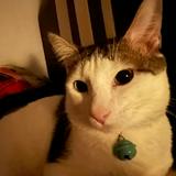 (Category: ) located in . Submitted by susank02 (Listing ID 1385073965, Image 1). Description: .