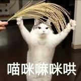 頭像