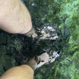 (Category: ) located in . Submitted by QWERTY_2 (Listing ID 1325593500, Image 1). Description: .