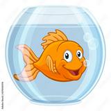 (Category: ) located in . Submitted by Goldfish (Listing ID 1251024464, Image 1). Description: .