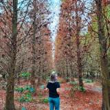 由 dog19941117gva27 (刊登 ID 1357357064，圖片 1) 提交，位於 的 (類別：)，說明：。