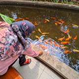 (Kategori: ) berada di . Dikirim oleh lysminiar (ID iklan 1369816952, Gambar 1). Deskripsi: .