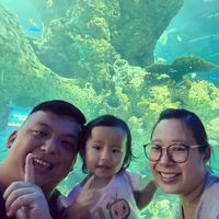 (Category: ) located in . Submitted by meiling1991 (Listing ID 1382003706, Image 1). Description: .