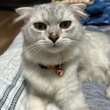 (Category: ) located in . Submitted by ppowppow (Listing ID 1320402878, Image 1). Description: .