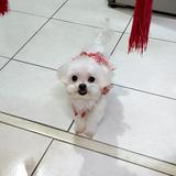 由 isabellebear152 (刊登 ID 1384567936，圖片 1) 提交，位於 的 (類別：)，說明：。