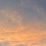 (Category: ) located in . Submitted by mine4 (Listing ID 1357353199, Image 1). Description: .