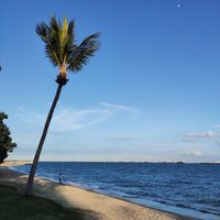 (Category: ) located in . Submitted by ziwei0916 (Listing ID 1448778858, Image 1). Description: .