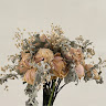 (Kategori: ) berada di . Dikirim oleh prelovedgoodqualityy (ID iklan 1362079390, Gambar 1). Deskripsi: .