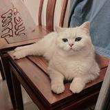 （分類：）位於 。 由 ahha15 提交（商品編號 1385723815，圖片 1）。簡介： 。