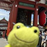 （分類：）位於 。 由 chansiuming5201314 提交（商品編號 1350913664，圖片 1）。簡介： 。