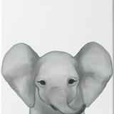 （分類：）位於 。 由 elephantzoo 提交（商品編號 113526643，圖片 1）。簡介： 。