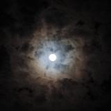 (Category: ) located in . Submitted by ghostify (Listing ID 1457979869, Image 1). Description: .