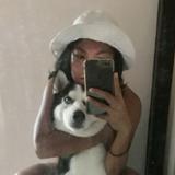 (Category: ) located in . Submitted by allisonburgers (Listing ID 1386147836, Image 1). Description: .