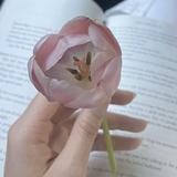 (Kategori: ) berada di . Dikirim oleh prelovedthrifting13 (ID iklan 1349334652, Gambar 1). Deskripsi: .