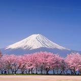 （分類：）位於 。 由 sakura513 提交（商品編號 1177519550，圖片 1）。簡介： 。