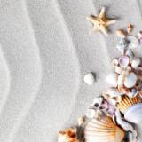 (Kategori: ) berada di . Dikirim oleh tival77 (ID iklan 1259698835, Gambar 1). Deskripsi: .