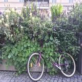 (Category: ) located in . Submitted by ongpang (Listing ID 1208376604, Image 1). Description: .