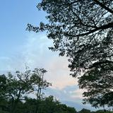 (Category: ) located in . Submitted by raincym (Listing ID 1357495749, Image 1). Description: .