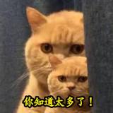 （分類：）位於 。 由 billy.evil 提交（商品編號 1384262566，圖片 1）。簡介： 。