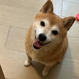 （分類：）位於 。 由 holam217 提交（商品編號 1376178331，圖片 1）。簡介： 。