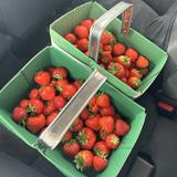 （分類：）位於 。 由 strawberryyear 提交（商品編號 1385908162，圖片 1）。簡介： 。