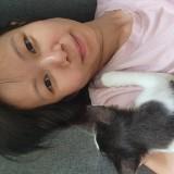 (Category: ) located in . Submitted by lu_yee (Listing ID 1461245465, Image 1). Description: .
