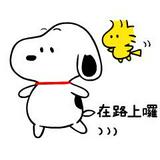 由 snp_chen (刊登 ID 1239943127，圖片 1) 提交，位於 的 (類別：)，說明：。