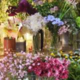 （分類：）位於 。 由 syssy.sisi 提交（商品編號 1348312161，圖片 1）。簡介： 。
