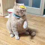 (Category: ) located in . Submitted by shuyang (Listing ID 1380333934, Image 1). Description: .
