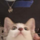 (Category: ) located in . Submitted by wxyetzh (Listing ID 1325685318, Image 1). Description: .