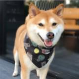 （分類：）位於 。 由 liggg 提交（商品編號 1275957450，圖片 1）。簡介： 。
